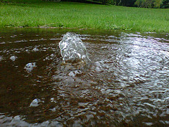 IMG00375-20111110-1046