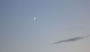 10622953_10204264091869719_2048865320751007921_n