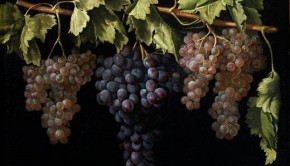 10636215_10204267858843891_3356592232428293824_n