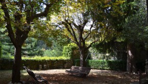 551919_4465937884496_550268091_n